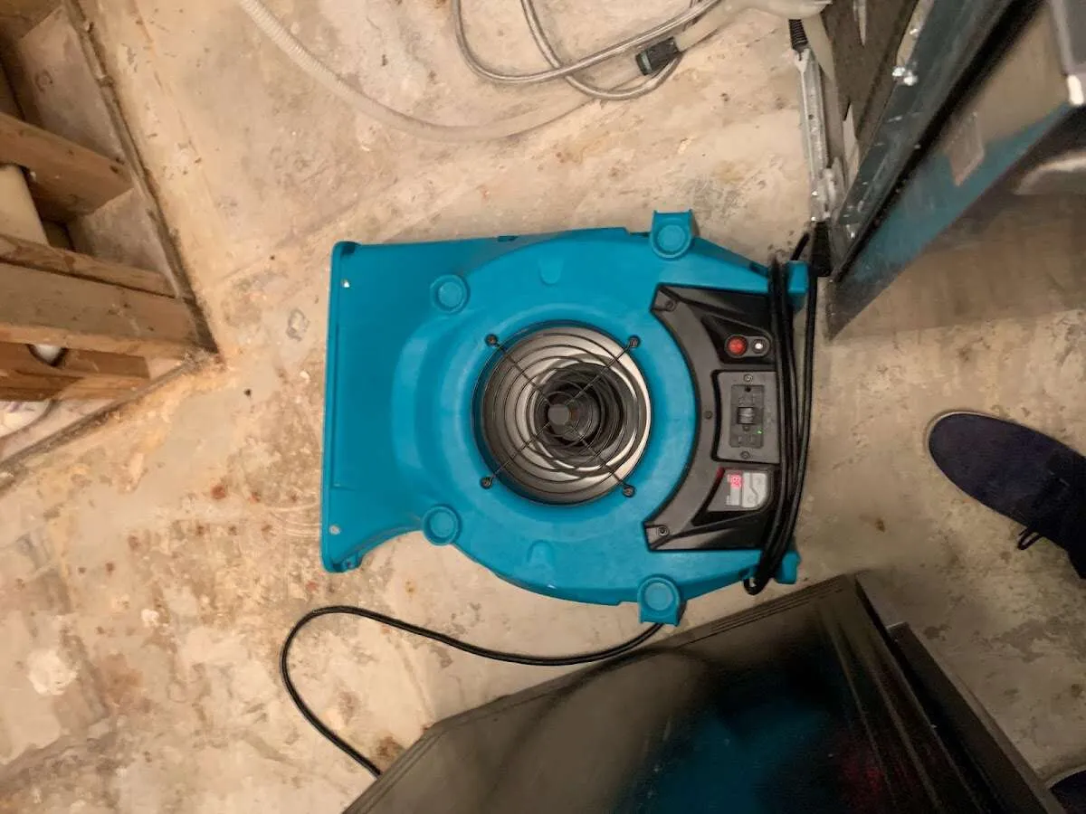 Air mover drying equipment for Mold Remediation & Removal in Elmwood Park