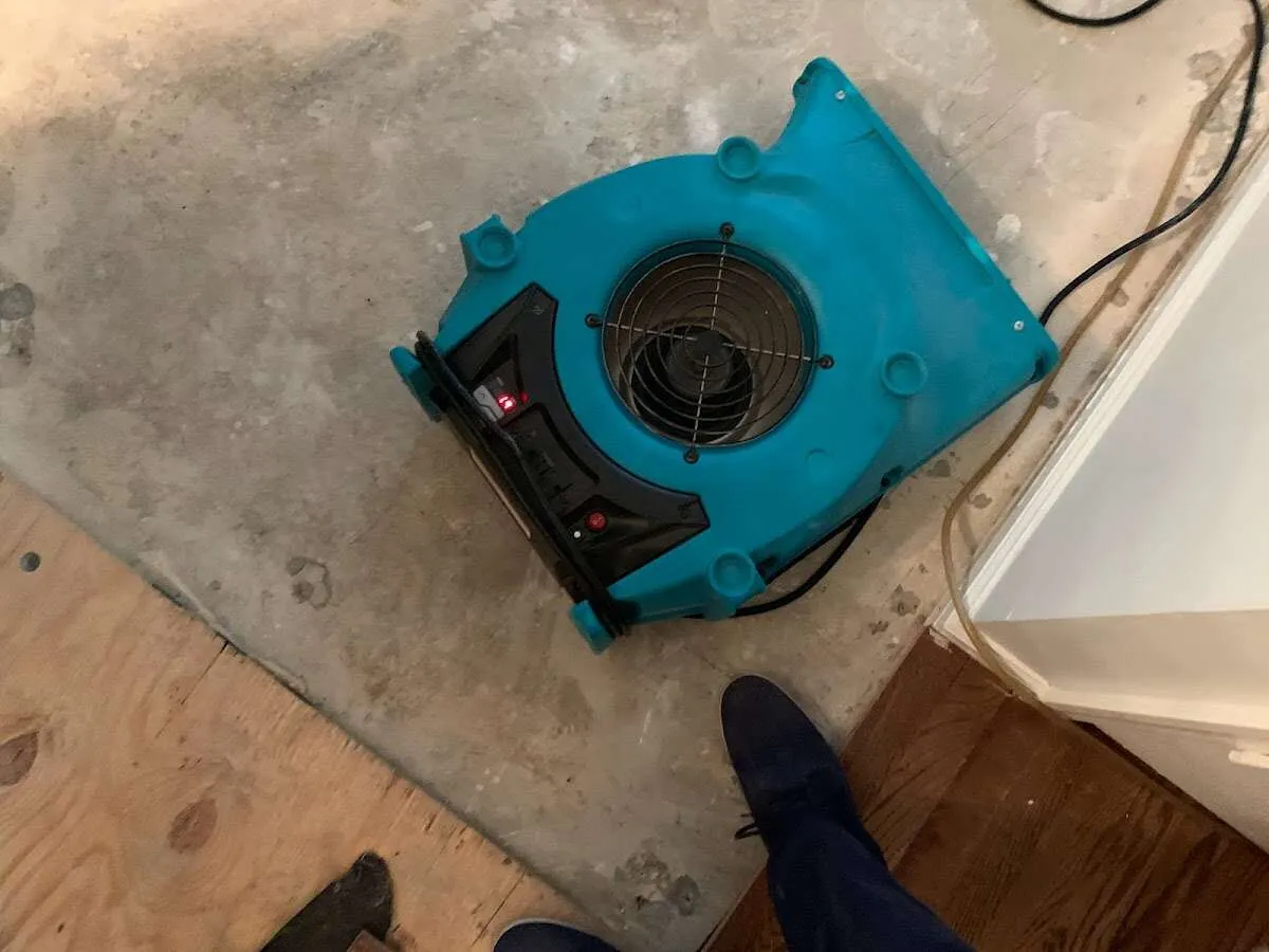 Air mover drying subfloor during Commercial Water Damage Restoration in Elmwood Park